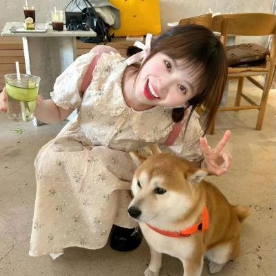 四海鲸骑第二季